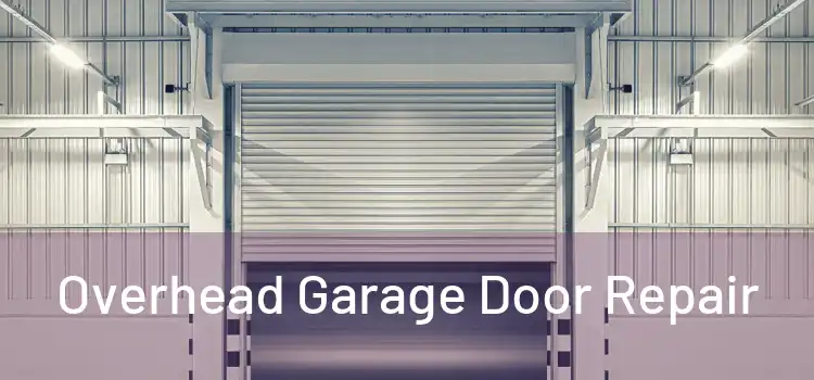  Overhead Garage Door Repair 